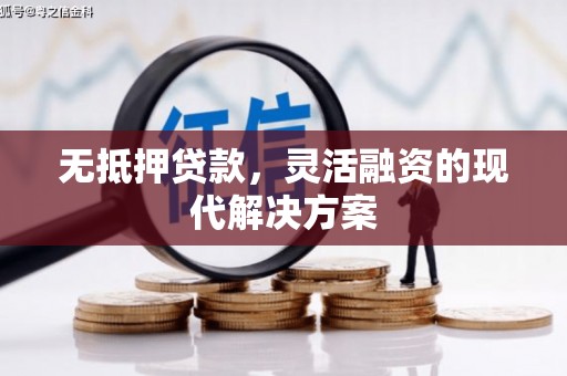 灌南无抵押贷款，灵活融资的现代解决方案