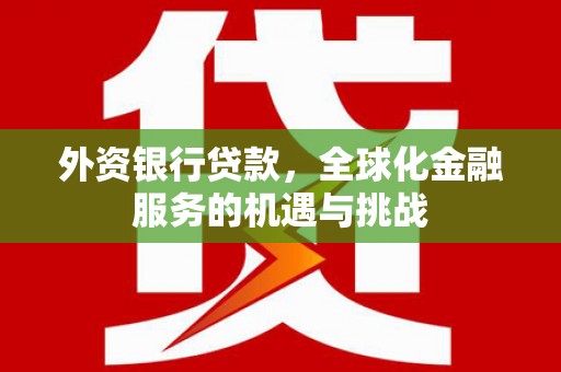 灌南外资银行贷款，全球化金融服务的机遇与挑战