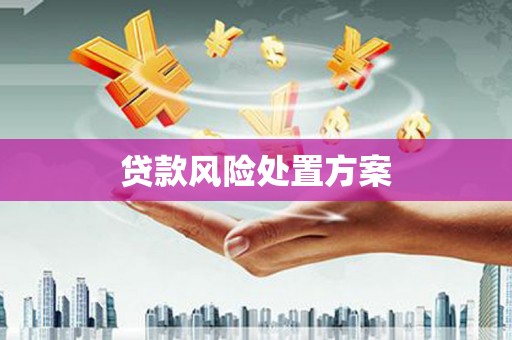 灌南贷款风险处置方案