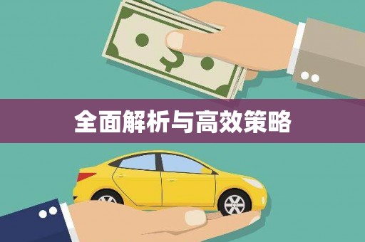 灌南全面解析与高效策略