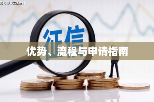 灌南优势、流程与申请指南