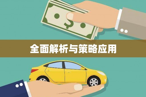 灌南全面解析与策略应用