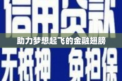 灌南助力梦想起飞的金融翅膀