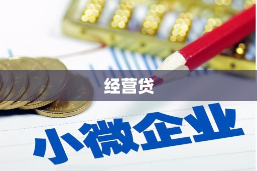 灌南经营贷
