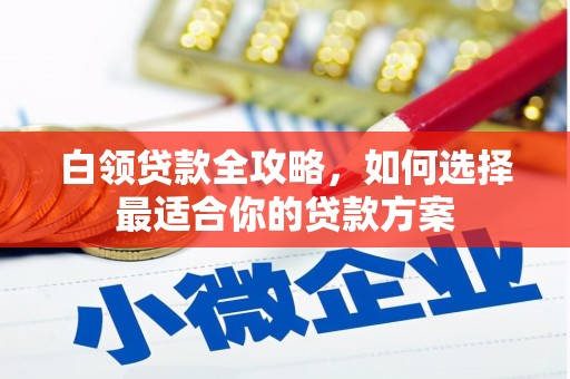 灌南白领贷款全攻略，如何选择最适合你的贷款方案